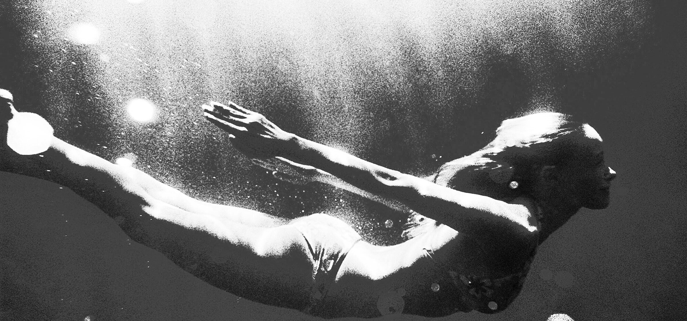 Head High Wines Products 2022 Sonoma County Chardonnay